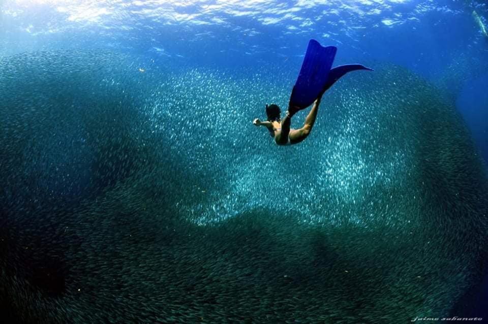 Marina Village Moalboal Dış mekan fotoğraf