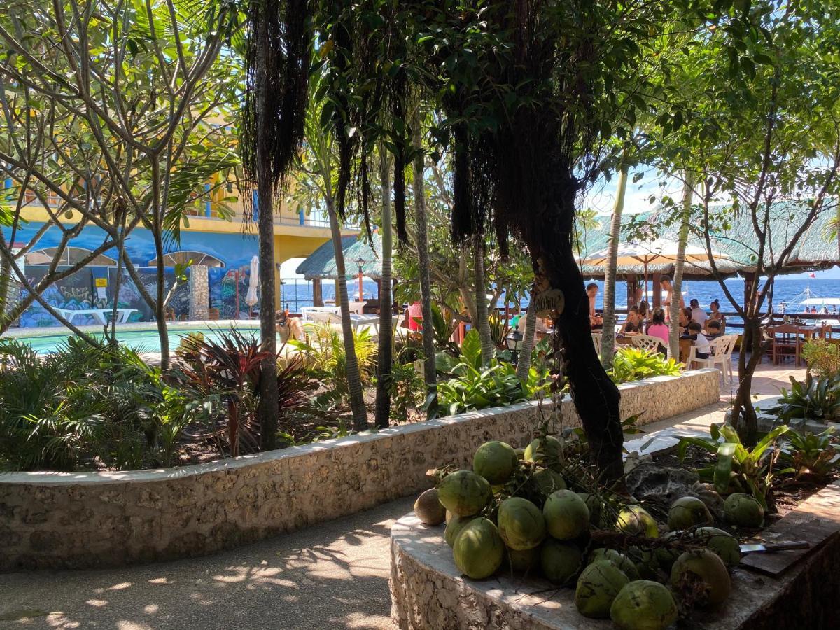 Marina Village Moalboal Dış mekan fotoğraf